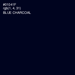 #01041F - Blue Charcoal Color Image